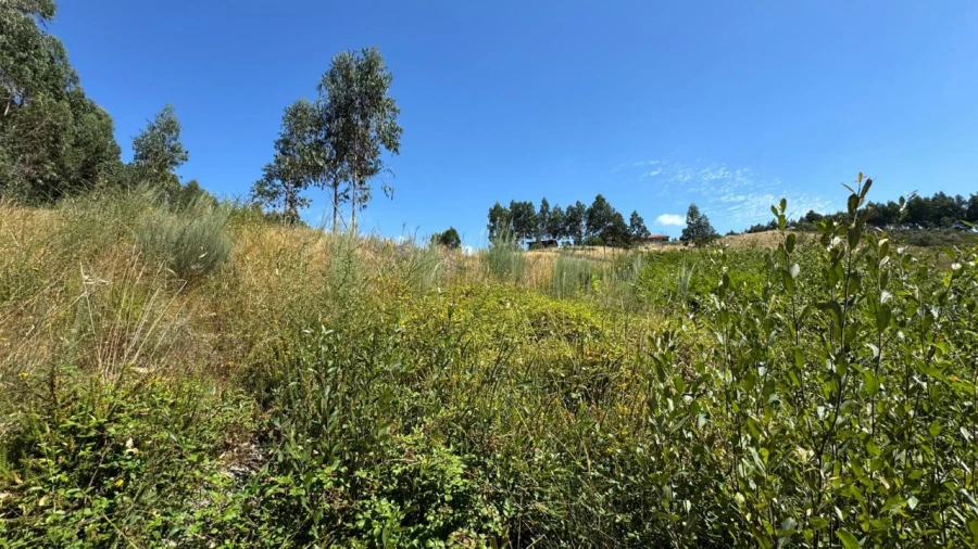 Terreno Agricola ou Rústico para Venda em Ribas Foto 11