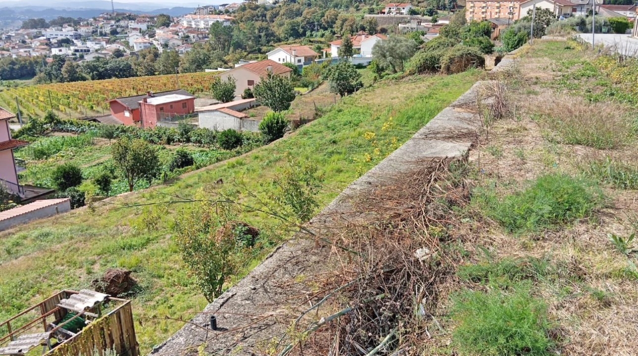Terreno para Venda em Friande Foto 4