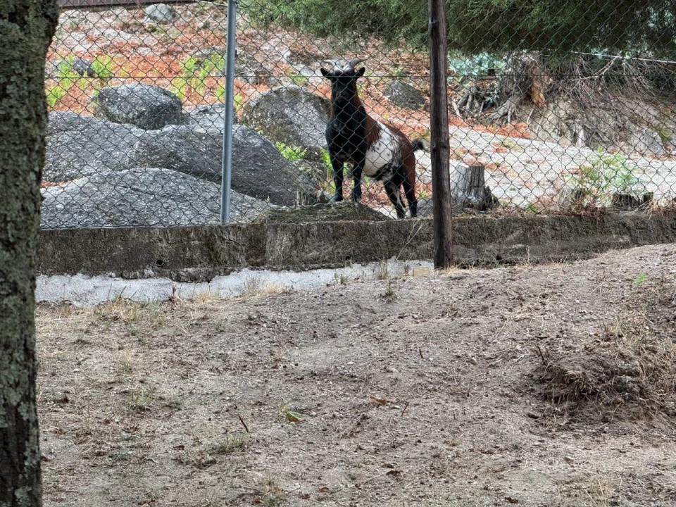 Quinta T3 para Venda em Armil Foto 102