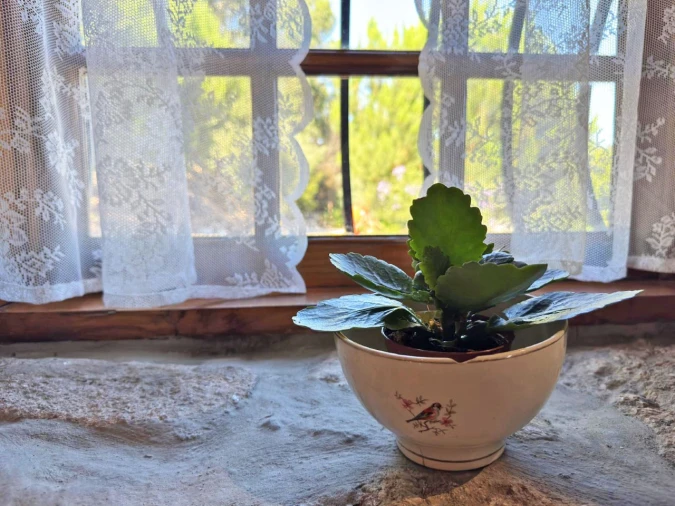 Quinta T3 para Venda em Armil Foto 19