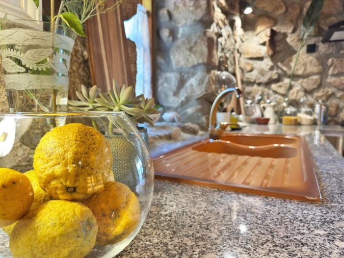 Quinta T3 para Venda em Armil Foto 21