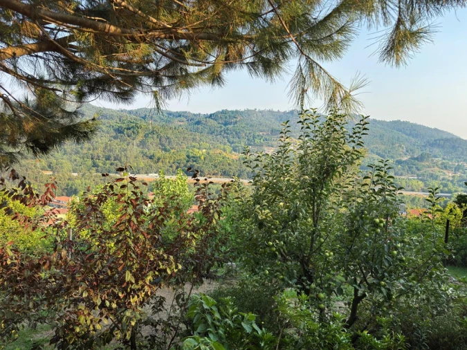 Quinta T3 para Venda em Armil Foto 116