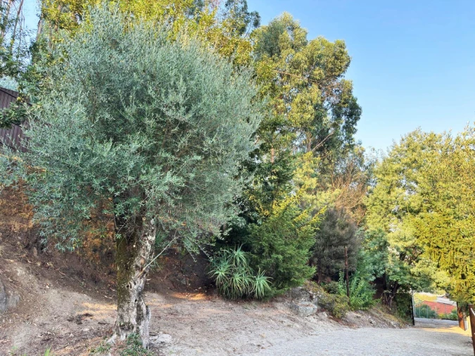 Quinta T3 para Venda em Armil Foto 120