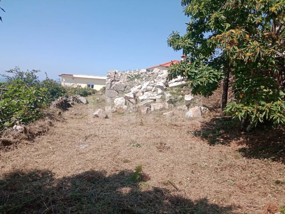 Terreno para Venda em Areosa Foto 3