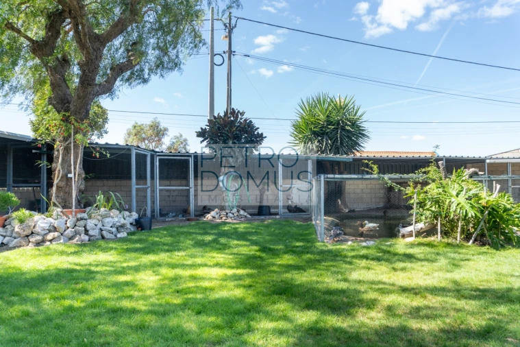 Quinta T5 para Venda em Marinhais Foto 7