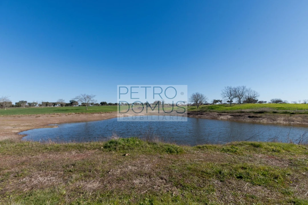 Quinta T5 para Venda em Tolosa Foto 109