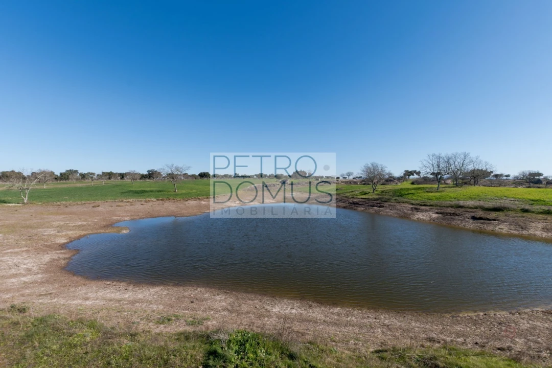 Quinta T5 para Venda em Tolosa Foto 110