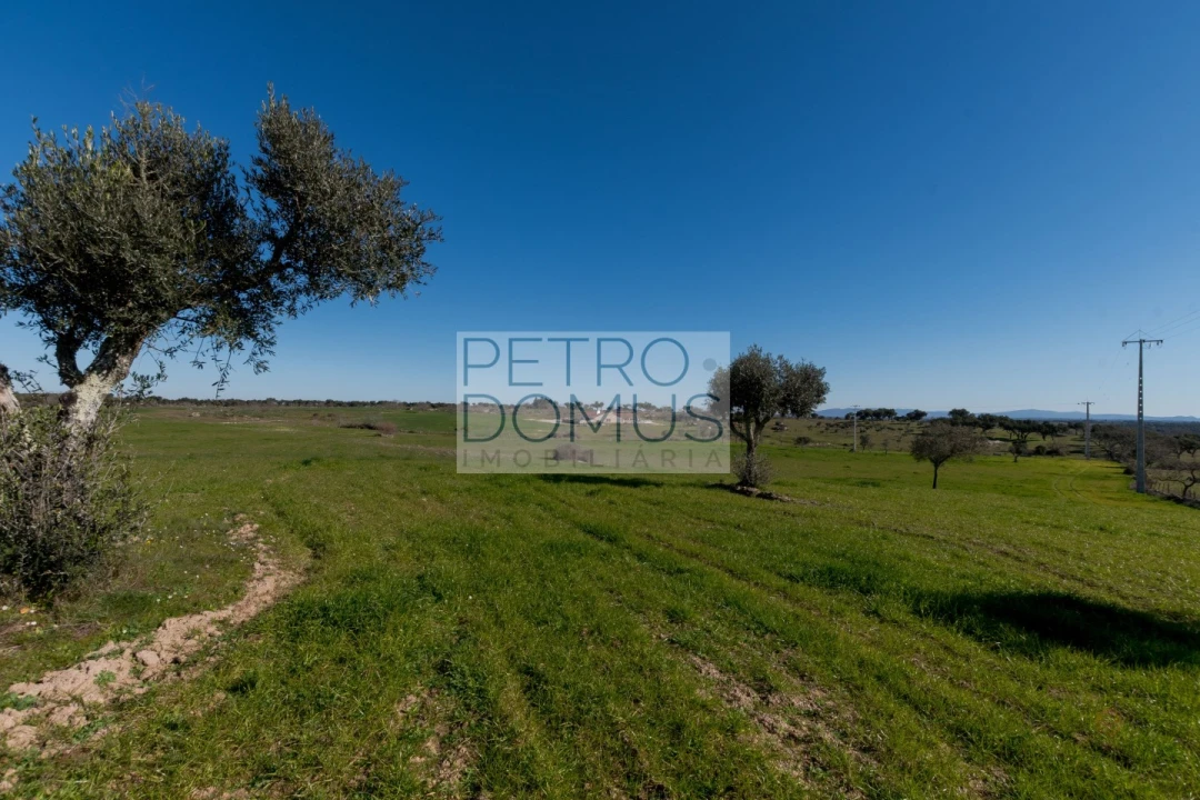 Quinta T5 para Venda em Tolosa Foto 113