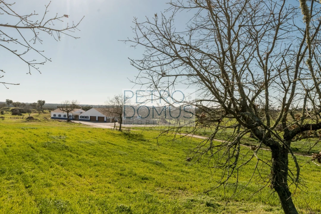 Quinta T5 para Venda em Tolosa Foto 114