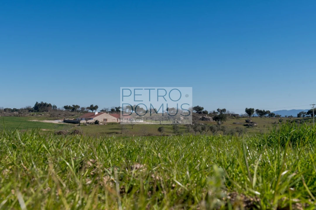 Quinta T5 para Venda em Tolosa Foto 119