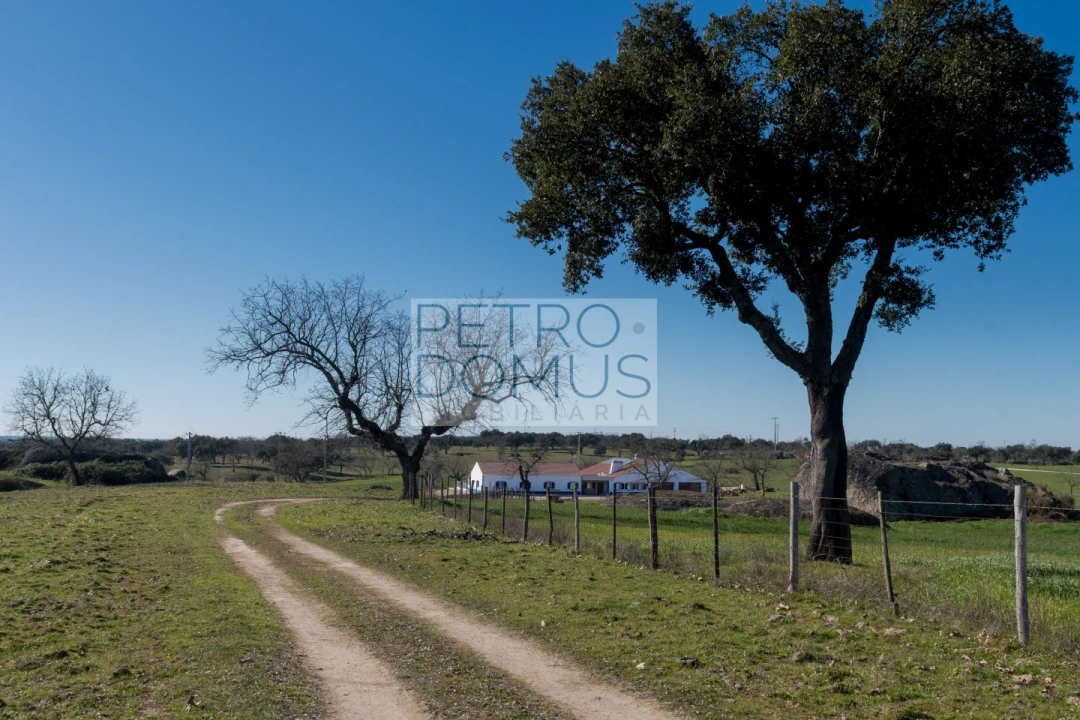 Quinta T5 para Venda em Tolosa Foto 121