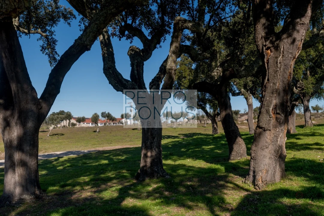 Quinta T5 para Venda em Tolosa Foto 138