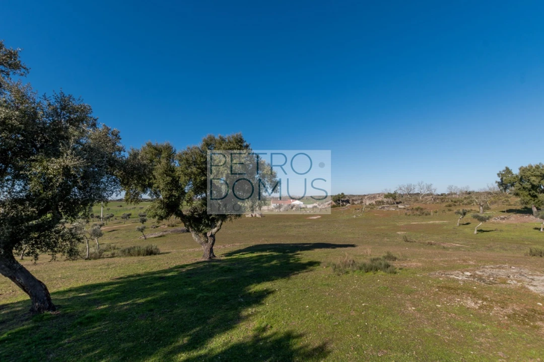 Quinta T5 para Venda em Tolosa Foto 143