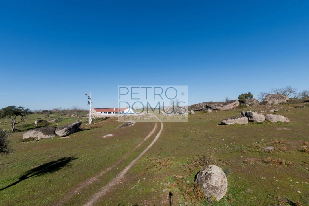 Quinta T5 para Venda em Tolosa Foto 145