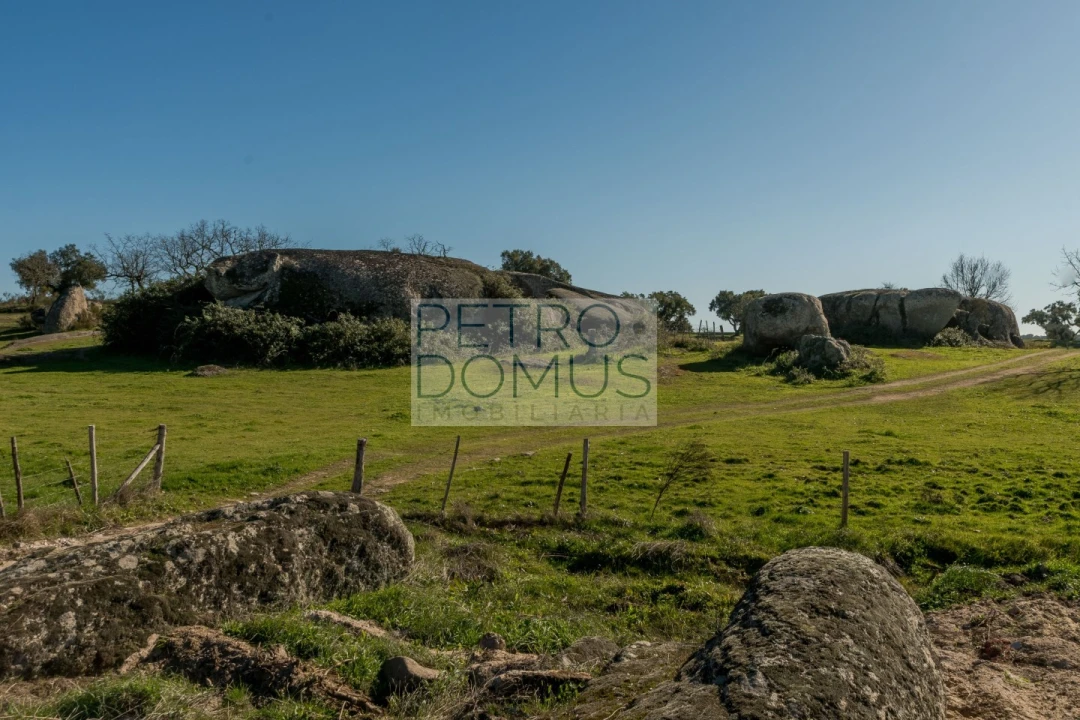 Quinta T5 para Venda em Tolosa Foto 158