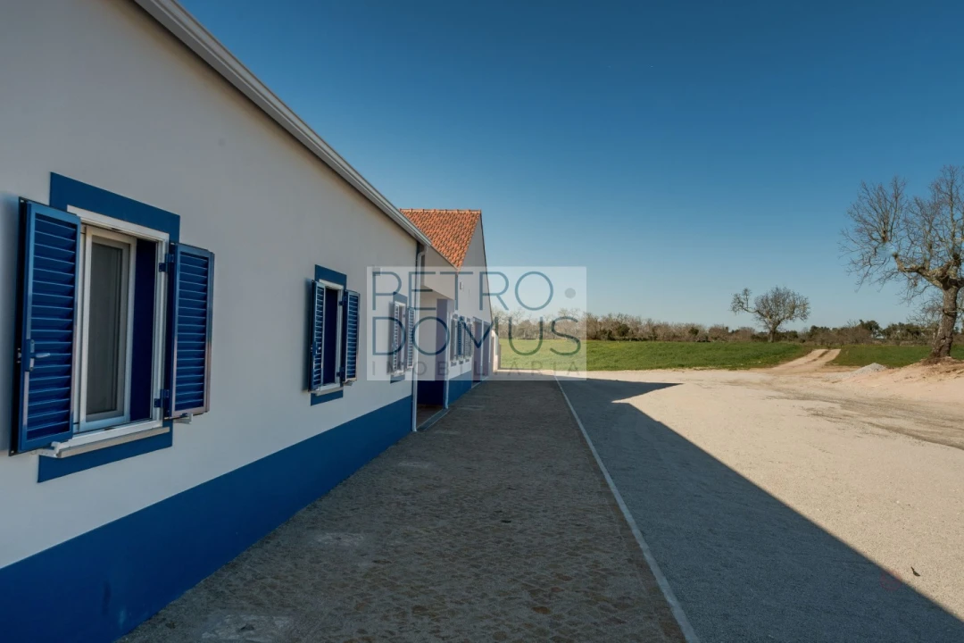 Quinta T5 para Venda em Tolosa Foto 160