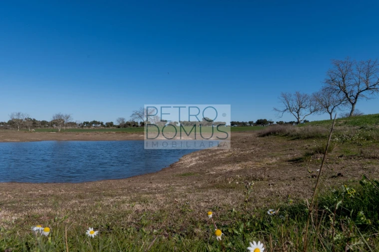 Quinta T5 para Venda em Tolosa Foto 107