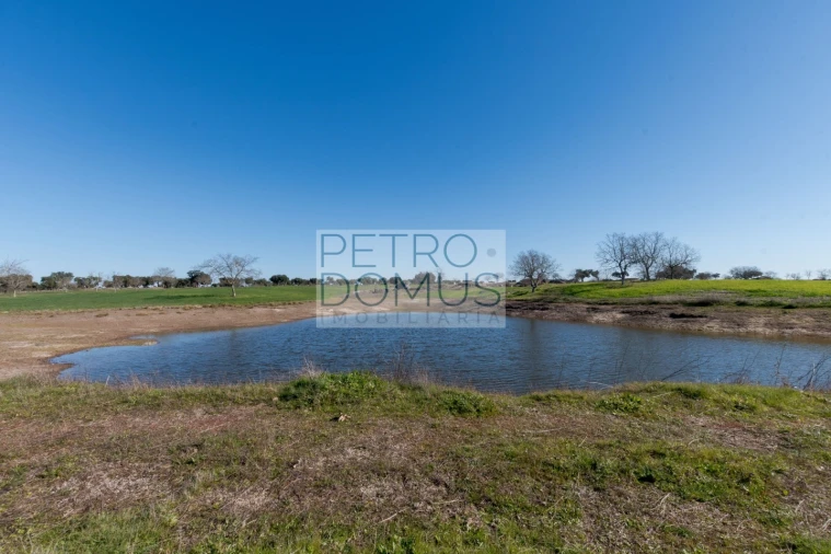 Quinta T5 para Venda em Tolosa Foto 109