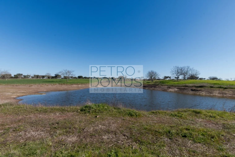 Quinta T5 para Venda em Tolosa Foto 111