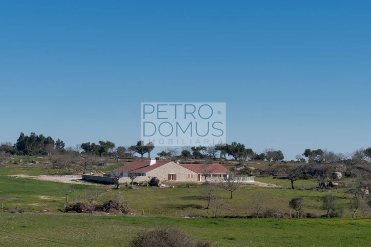 Quinta T5 para Venda em Tolosa Foto 116