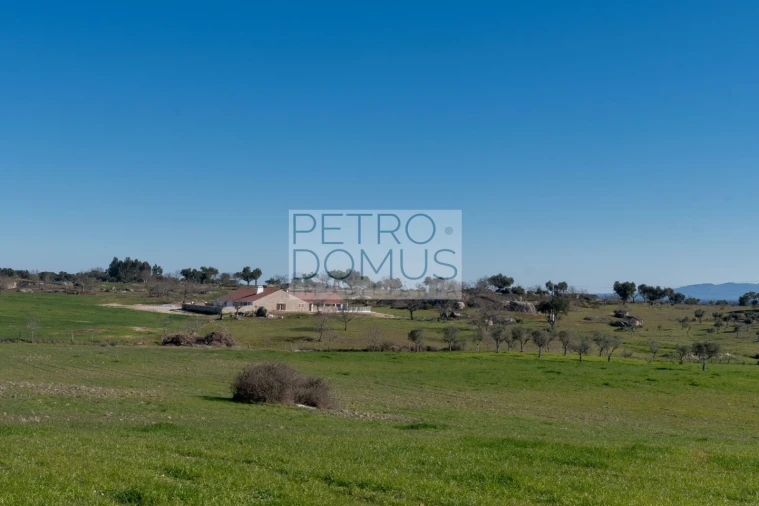 Quinta T5 para Venda em Tolosa Foto 118