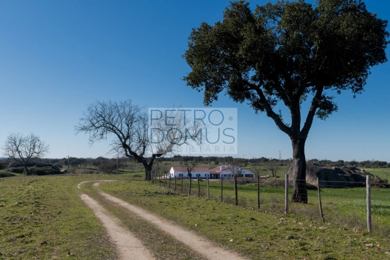 Quinta T5 para Venda em Tolosa Foto 121