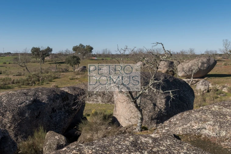 Quinta T5 para Venda em Tolosa Foto 126