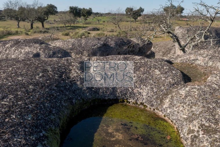 Quinta T5 para Venda em Tolosa Foto 127