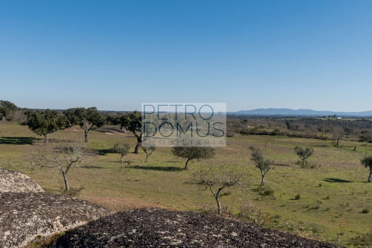 Quinta T5 para Venda em Tolosa Foto 129