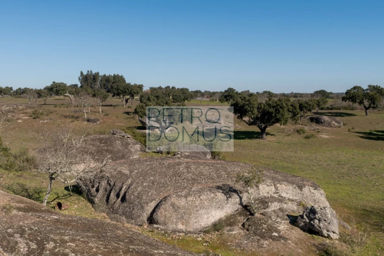 Quinta T5 para Venda em Tolosa Foto 130