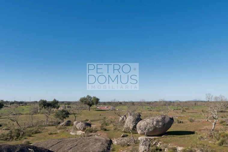 Quinta T5 para Venda em Tolosa Foto 131