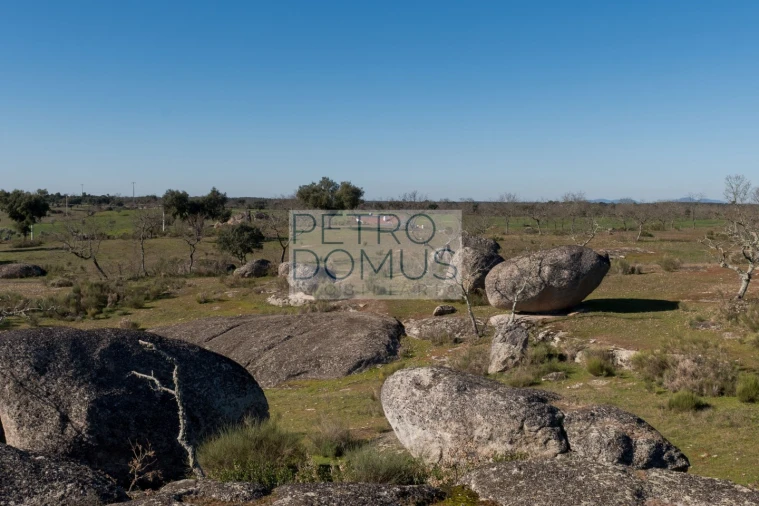 Quinta T5 para Venda em Tolosa Foto 133