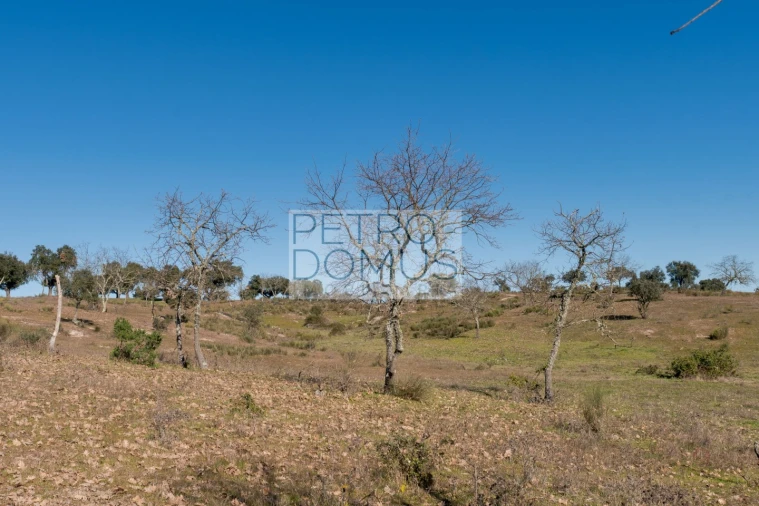 Quinta T5 para Venda em Tolosa Foto 135