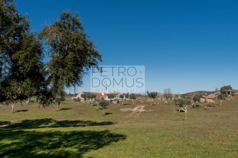 Quinta T5 para Venda em Tolosa Foto 140