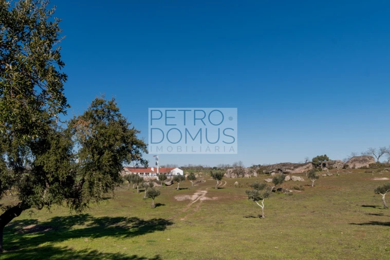 Quinta T5 para Venda em Tolosa Foto 142