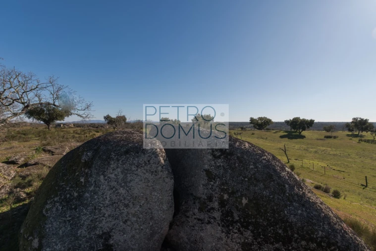 Quinta T5 para Venda em Tolosa Foto 146