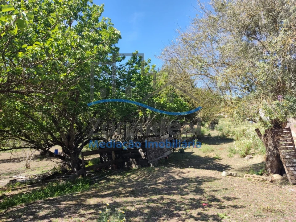 Moradia T4 para Venda em Ribafria e Pereiro de Palhacana Foto 17