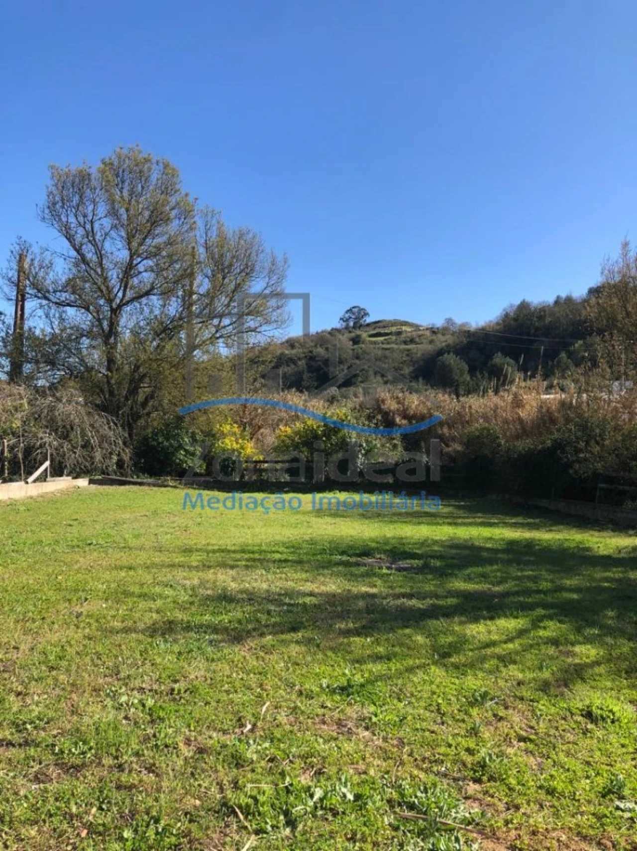 Moradia T4 para Venda em Ribafria e Pereiro de Palhacana Foto 18