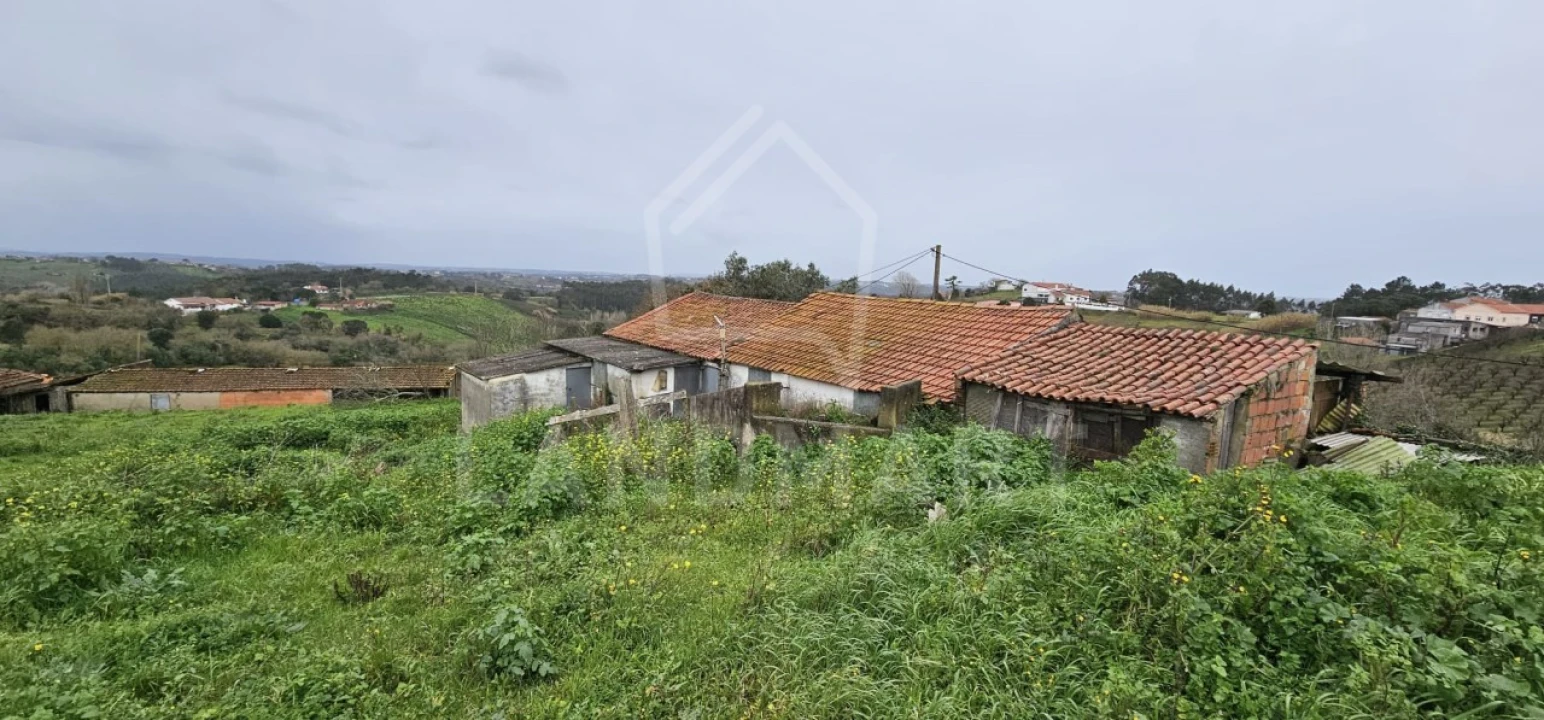 Terreno para Venda em Benedita Foto 2