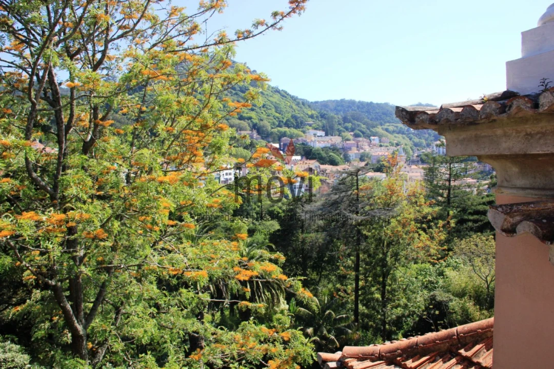 Quinta T7 para Venda em Santa Maria e São Miguel, São Martinho, São Pedro Penaferrim Foto 1