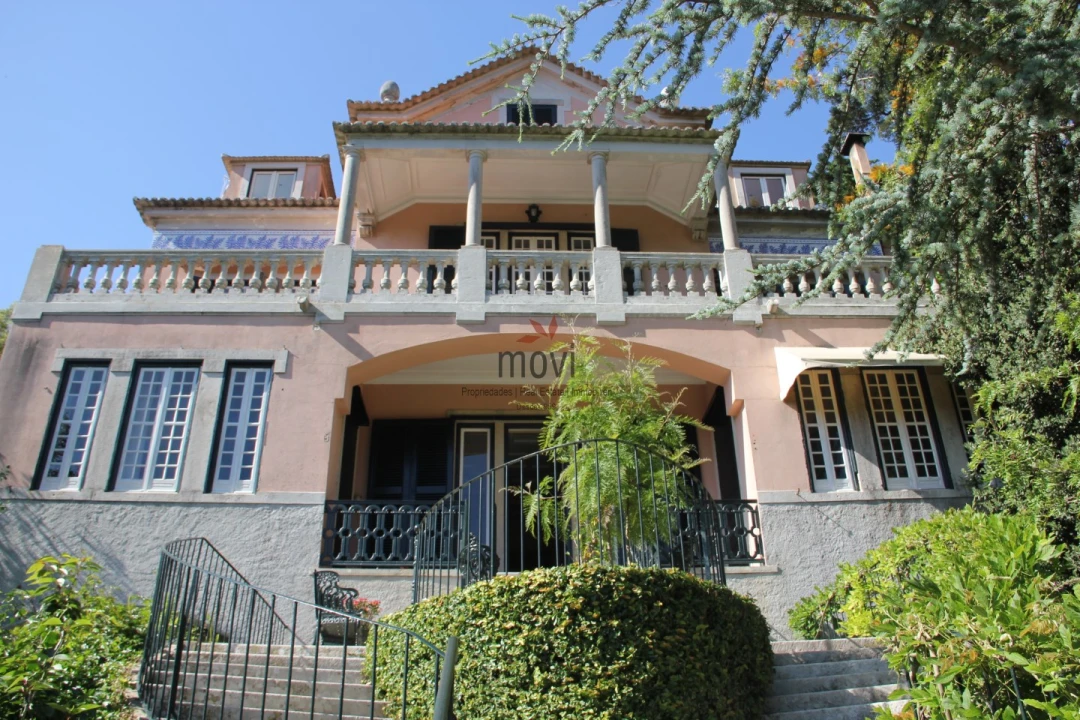 Quinta T7 para Venda em Santa Maria e São Miguel, São Martinho, São Pedro Penaferrim Foto 3