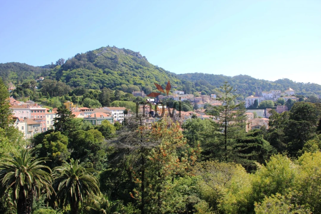 Quinta T7 para Venda em Santa Maria e São Miguel, São Martinho, São Pedro Penaferrim Foto 4