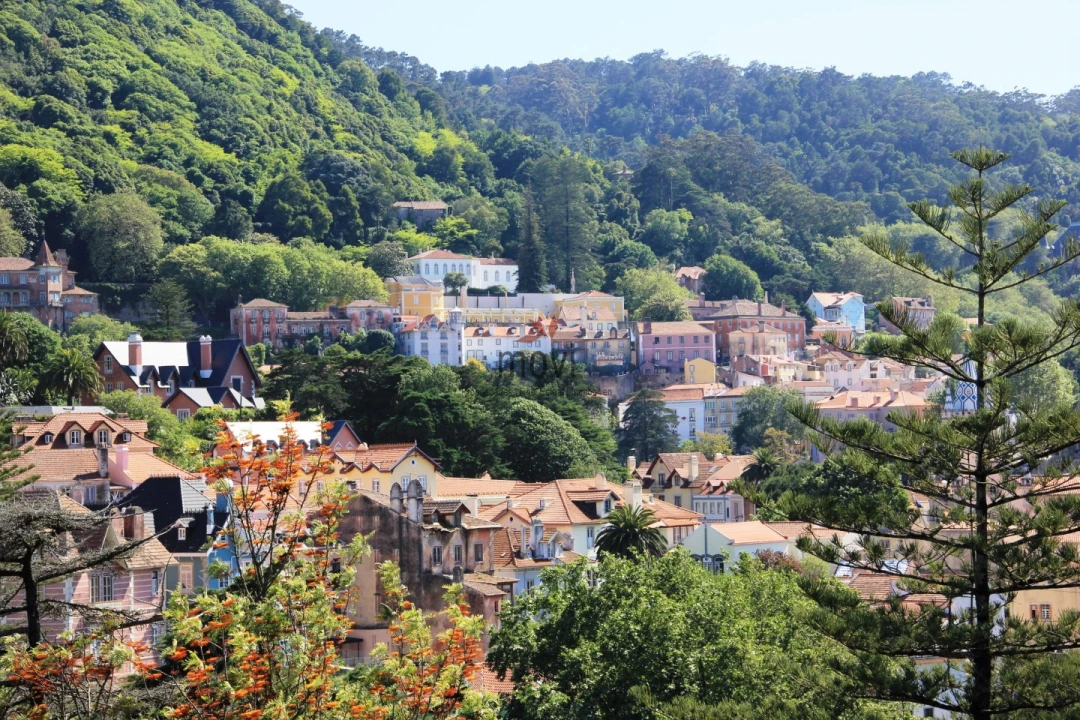 Quinta T7 para Venda em Santa Maria e São Miguel, São Martinho, São Pedro Penaferrim Foto 7