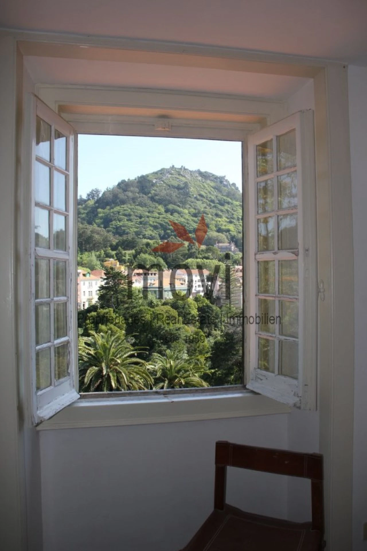 Quinta T7 para Venda em Santa Maria e São Miguel, São Martinho, São Pedro Penaferrim Foto 16