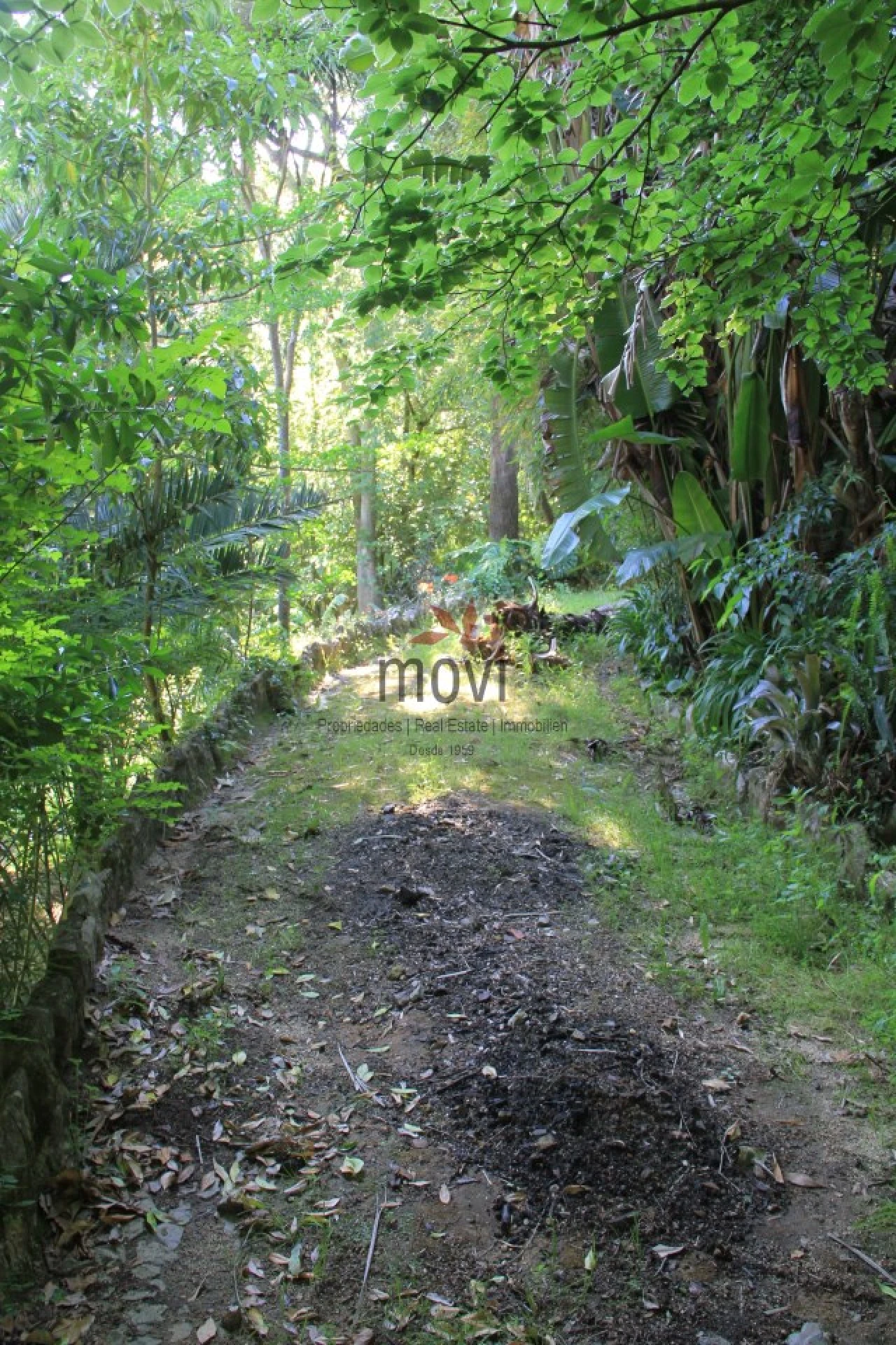 Quinta T7 para Venda em Santa Maria e São Miguel, São Martinho, São Pedro Penaferrim Foto 26
