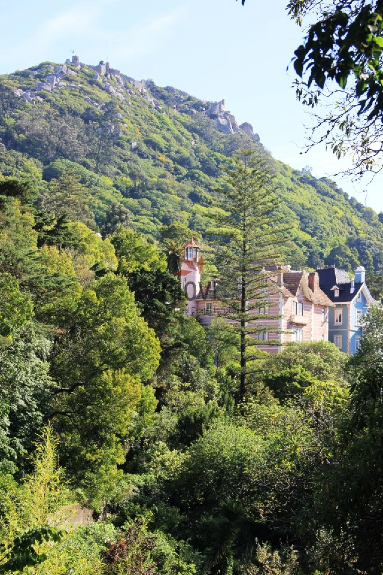 Quinta T7 para Venda em Santa Maria e São Miguel, São Martinho, São Pedro Penaferrim Foto 27