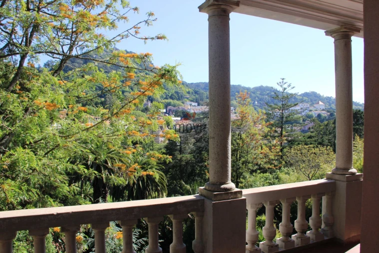 Quinta T7 para Venda em Santa Maria e São Miguel, São Martinho, São Pedro Penaferrim Foto 6