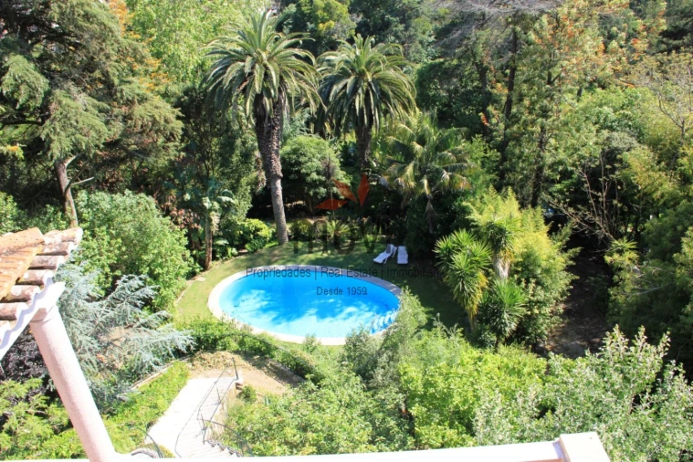 Quinta T7 para Venda em Santa Maria e São Miguel, São Martinho, São Pedro Penaferrim Foto 10
