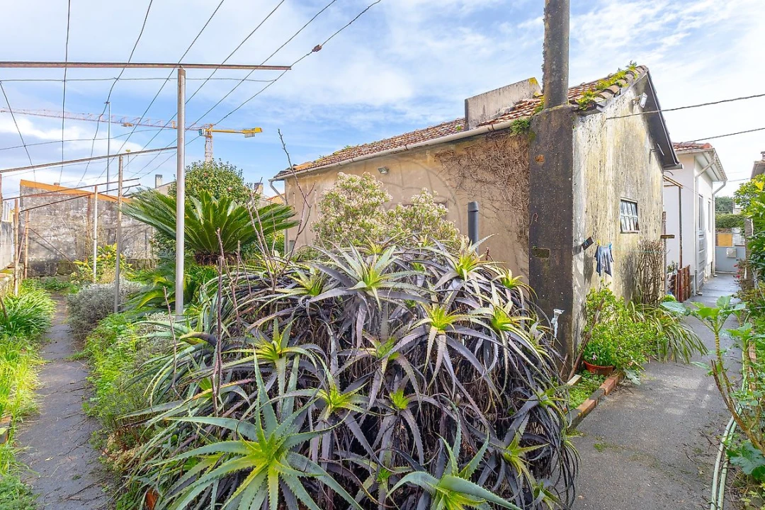 Moradia T3 para Venda em Oliveira do Douro Foto 9