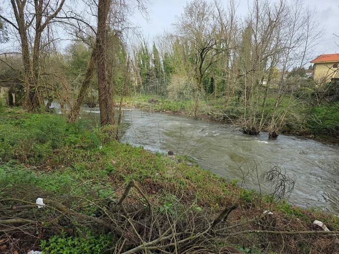 Terreno para Venda em Milheiros Foto 23